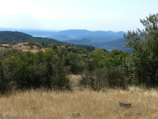 Balades en Languedoc - Le plateau de l'Escandorgue 